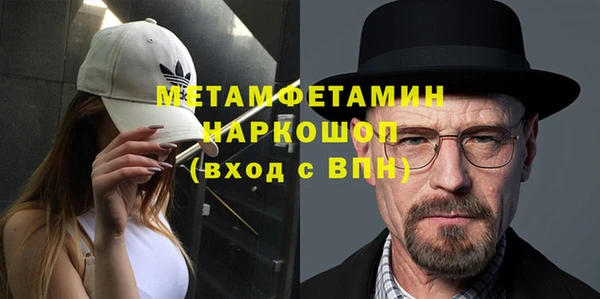 шишки Лабытнанги