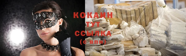 шишки Лабытнанги