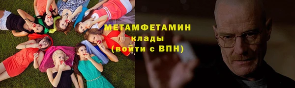 шишки Лабытнанги