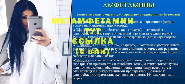 шишки Лабытнанги