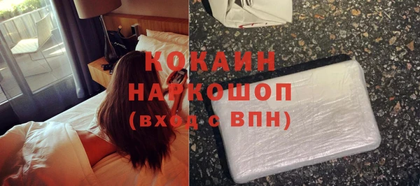шишки Лабытнанги