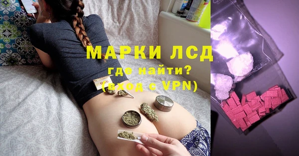 шишки Лабытнанги