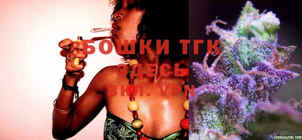 шишки Лабытнанги