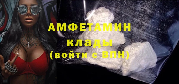 шишки Лабытнанги