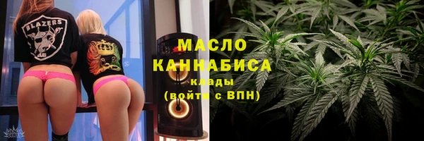 шишки Лабытнанги