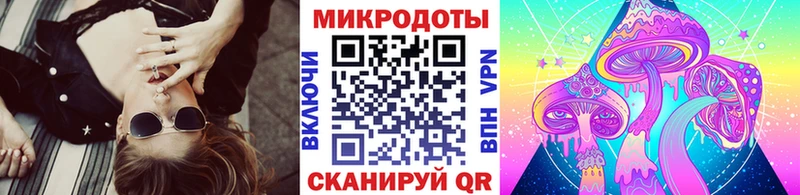 где найти наркотики  Холм  Псилоцибиновые грибы мухоморы 