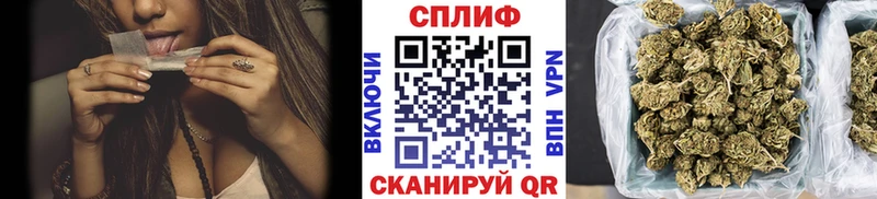 Канабис SATIVA & INDICA  Холм 